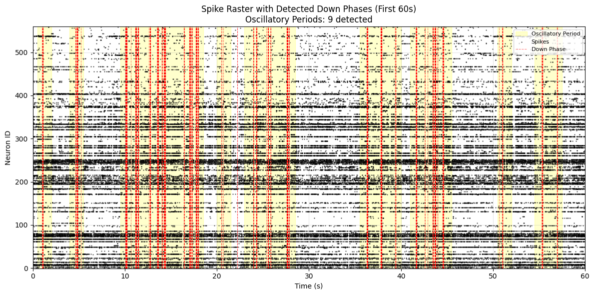 New raster plot